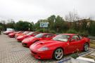 components/com_mambospgm/spgm/gal/Supercars_Meeting/2008/IV_Trofeo_Sauro_Mingarelli_Part_II/Small/_thb_IVTrofeoSauro_233.jpg